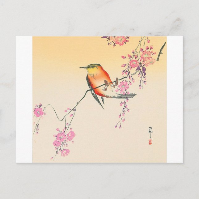 桜に鳥, 小原古邨 Bird & Cherry Blossoms, Ohara Koson Postcard (Front)