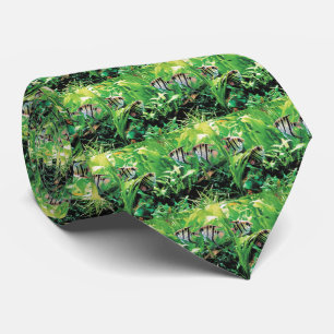 淡水性のエンゼルフィッシュ TIE