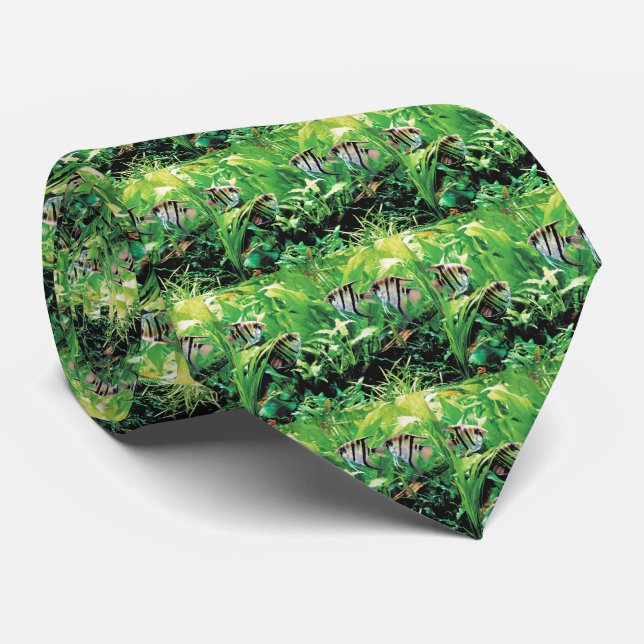 淡水性のエンゼルフィッシュ TIE (Rolled)