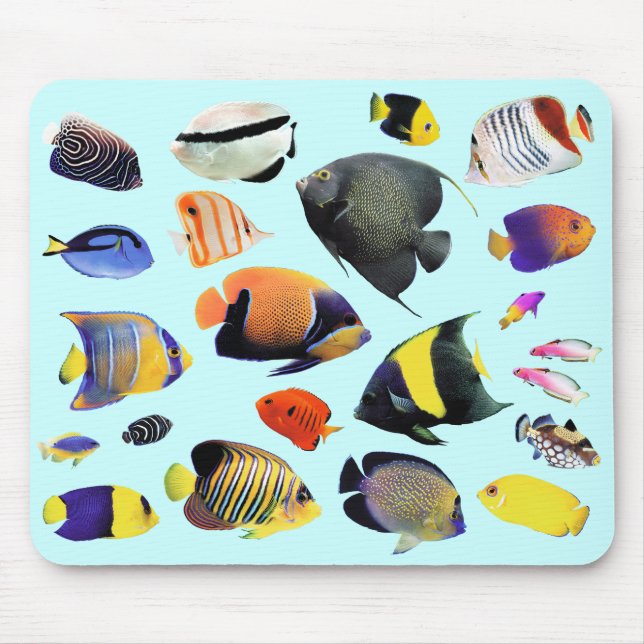 熱帯の海水魚のマウスパッド,No.02 Mouse Pad (Front)