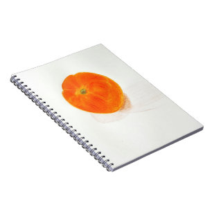 画番茄 家威绘画 How to Draw Tomato Spiral Photo Notebook