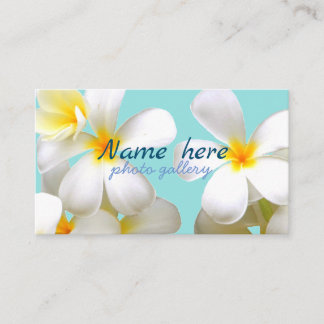 米スタンダード 8.89cm x 5.08cm名刺 名刺 business card