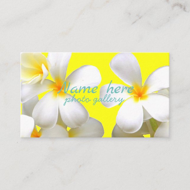 米スタンダード 8.89cm x 5.08cm名刺 business card (Front)