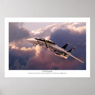 航空芸術ポスター「F-14 Tomcat」 Poster