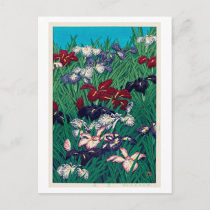 菖蒲, Iris, Hasui Kawase, Woodcut Postcard