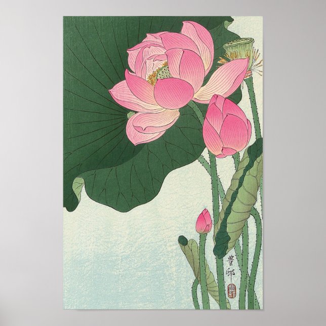 蓮の花, 小原古邨 Lotus flower, Ohara Koson, Ukiyo-e Poster (Front)
