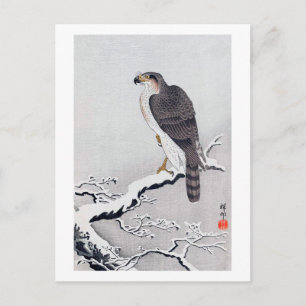 雪に鷹, 古邨 Hawk on Snow covered branch, Ohara Koson Postcard