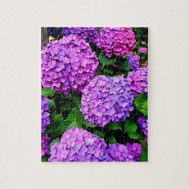 鮮やかなアジサイのパズル A vivid hydrangea puzzle. Jigsaw Puzzle (Vertical)