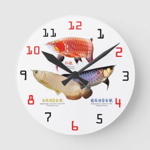 3種類のAsian Arowanaの壁掛け時計 Round Clock