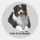 Search for australian shepherds stickers Herding