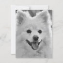 Search for spitz postcards Animal