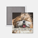 Recherche de chien idiot magnets Animaux