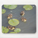 Search for lilypad mousepads Lake