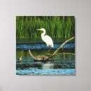 Search for egrets art White