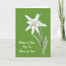Search for edelweiss cards Flower