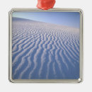 Search for new mexico ornaments Landscape