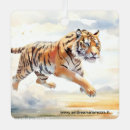 Search for tiger ornaments Watercolor