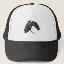 Search for crows hats Animal