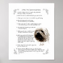 Recherche de règle de chat art Animal