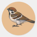 Search for songbirds stickers Ornithology