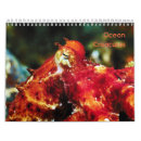 Search for octopus calendars Ocean
