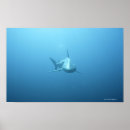 Recherche de vie marine art Agression