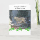 Search for lion birthday cards Animals