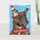 Search for boxer dog birthday cards Humour