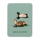 Recherche de le canard magnets Canards