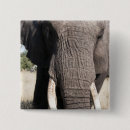 Recherche de gibier badges Animal