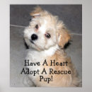 Search for animal cruelty posters Animals
