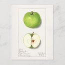 Recherche de vert pomme cartes postales Vintage
