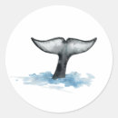 Recherche de orque Illustration