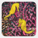 Search for underwater photography stickers Reef