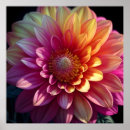 Recherche de dahlia rouge posters Jaune