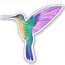 Recherche de hummingbird autocollants Coloré