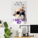 Recherche de shih tzu chien art Dog