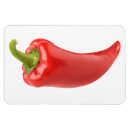 Recherche de poivron magnets Chili