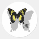 Recherche de ailes volantes autocollants Insecte
