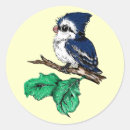 Recherche de geai autocollants Nature
