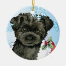 Recherche de monkey ornamente Mignon