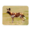 Recherche de espèce menacée magnets Jour