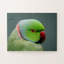 Recherche de anneau puzzles Faune