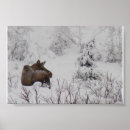Search for moose posters Snow