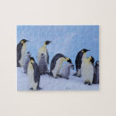 Recherche de penguin puzzles Oiseau