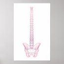 Search for backbone art Vertebral discs