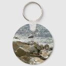 Search for seagull keychains Water