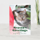 Search for wrapping paper christmas cards Photography