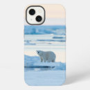 Search for ice bear iphone cases Winter