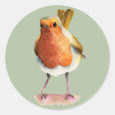Search for robin bird stickers Animals